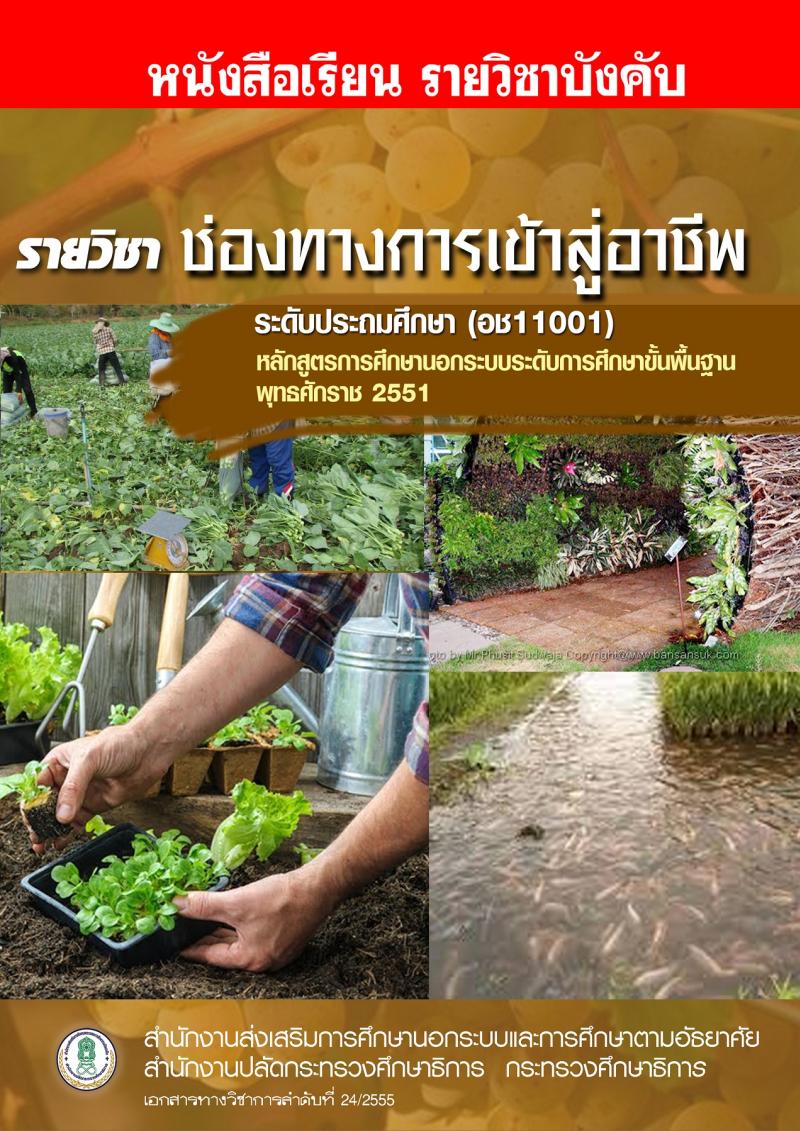 ช่องทางการเข้าสู่อาชีพ